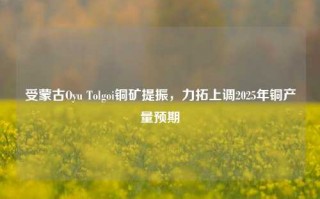 受蒙古Oyu Tolgoi铜矿提振，力拓上调2025年铜产量预期