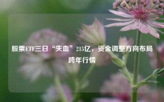 股票ETF三日“失血”215亿，资金调整方向布局跨年行情