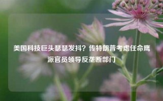 美国科技巨头瑟瑟发抖？传特朗普考虑任命鹰派官员领导反垄断部门