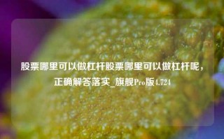 股票哪里可以做杠杆股票哪里可以做杠杆呢，正确解答落实_旗舰Pro版4.724