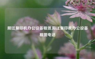 阳江复印机办公设备租赁,阳江复印机办公设备租赁电话