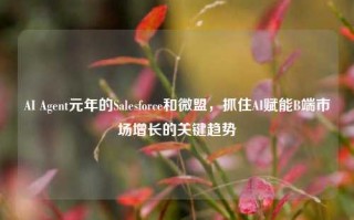 AI Agent元年的Salesforce和微盟，抓住AI赋能B端市场增长的关键趋势