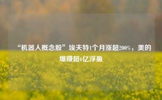 “机器人概念股”埃夫特1个月涨超200%，美的爆赚超6亿浮盈