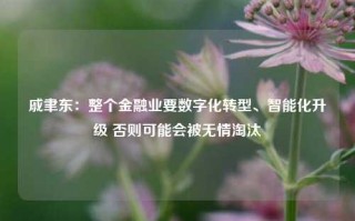 戚聿东：整个金融业要数字化转型、智能化升级 否则可能会被无情淘汰