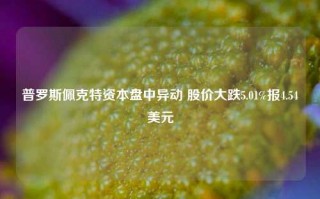 普罗斯佩克特资本盘中异动 股价大跌5.01%报4.54美元