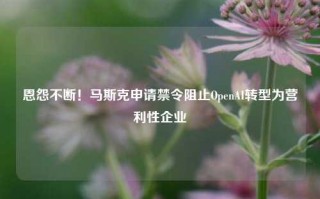 恩怨不断！马斯克申请禁令阻止OpenAI转型为营利性企业