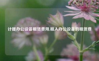 计提办公设备租赁费用,租入办公设备的租赁费