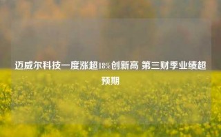 迈威尔科技一度涨超18%创新高 第三财季业绩超预期