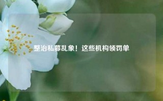 整治私募乱象！这些机构领罚单