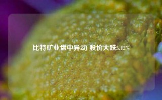 比特矿业盘中异动 股价大跌5.12%