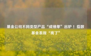 基金公司不同类型产品“成绩单”出炉 ！指数基金表现“亮了”