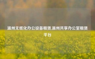 温州无纸化办公设备租赁,温州共享办公室租赁平台