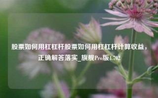 股票如何用杠杠杆股票如何用杠杠杆计算收益，正确解答落实_旗舰Pro版4.702