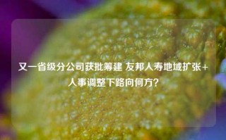 又一省级分公司获批筹建 友邦人寿地域扩张+人事调整下路向何方？