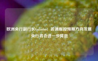 欧洲央行副行长Guindos：若通胀按预期方向发展 央行将会进一步降息