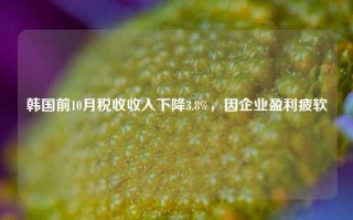 韩国前10月税收收入下降3.8%，因企业盈利疲软