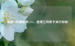 韩国11月通胀率1.5%，连续三月低于央行目标