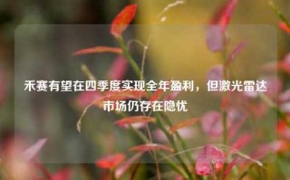 禾赛有望在四季度实现全年盈利，但激光雷达市场仍存在隐忧