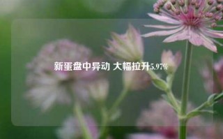 新蛋盘中异动 大幅拉升5.97%