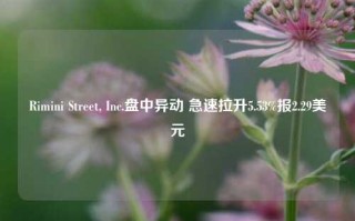 Rimini Street, Inc.盘中异动 急速拉升5.53%报2.29美元