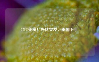 271%关税！光伏突发，美国下手