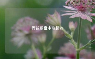 同花顺盘中涨超5%