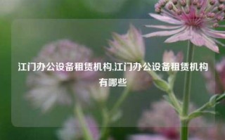 江门办公设备租赁机构,江门办公设备租赁机构有哪些