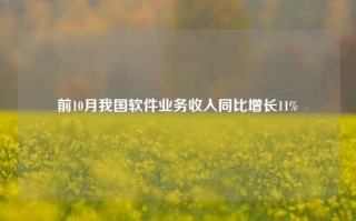 前10月我国软件业务收入同比增长11%