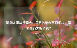 清华大学教授魏杰：每月养老金两百多块，怎么能有大的消费？