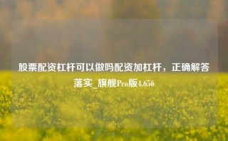 股票配资杠杆可以做吗配资加杠杆，正确解答落实_旗舰Pro版4.656