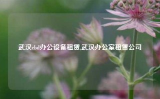 武汉cbd办公设备租赁,武汉办公室租赁公司