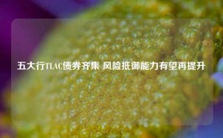 五大行TLAC债券齐集 风险抵御能力有望再提升