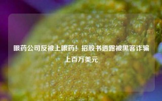 眼药公司反被上眼药！招股书透露被黑客诈骗上百万美元