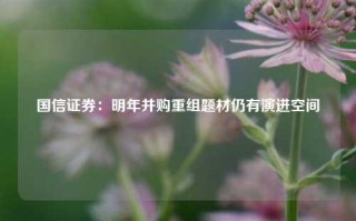 国信证券：明年并购重组题材仍有演进空间