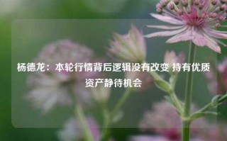 杨德龙：本轮行情背后逻辑没有改变 持有优质资产静待机会