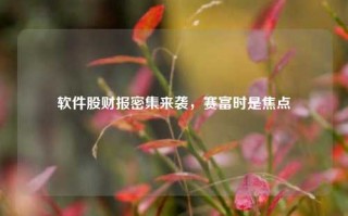 软件股财报密集来袭，赛富时是焦点