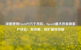 深度使用ChatGPT六个月后，OpenAI最大的金融客户评估：有效果，但扩展性存疑