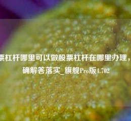 股票杠杆哪里可以做股票杠杆在哪里办理，正确解答落实_旗舰Pro版4.702