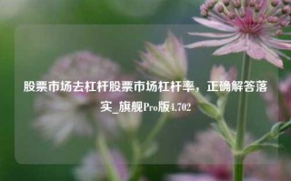 股票市场去杠杆股票市场杠杆率，正确解答落实_旗舰Pro版4.702