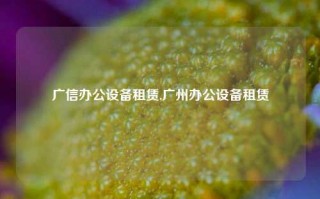 广信办公设备租赁,广州办公设备租赁