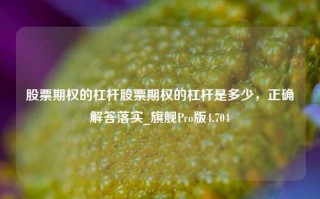 股票期权的杠杆股票期权的杠杆是多少，正确解答落实_旗舰Pro版4.704