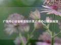 广东办公设备租赁报价表,广东办公家具租赁