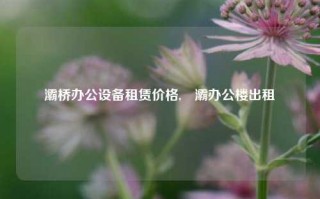 灞桥办公设备租赁价格,浐灞办公楼出租