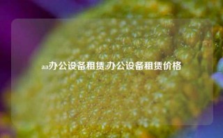 aa办公设备租赁,办公设备租赁价格