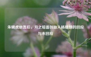 朱啸虎炮轰后，月之暗面创始人杨植麟的回应与未回应