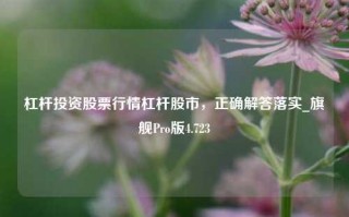 杠杆投资股票行情杠杆股市，正确解答落实_旗舰Pro版4.723