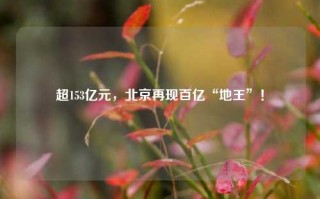 超153亿元，北京再现百亿“地王”！