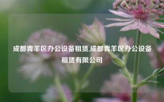 成都青羊区办公设备租赁,成都青羊区办公设备租赁有限公司