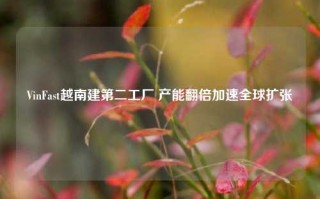 VinFast越南建第二工厂 产能翻倍加速全球扩张