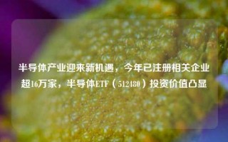 半导体产业迎来新机遇，今年已注册相关企业超16万家，半导体ETF（512480）投资价值凸显